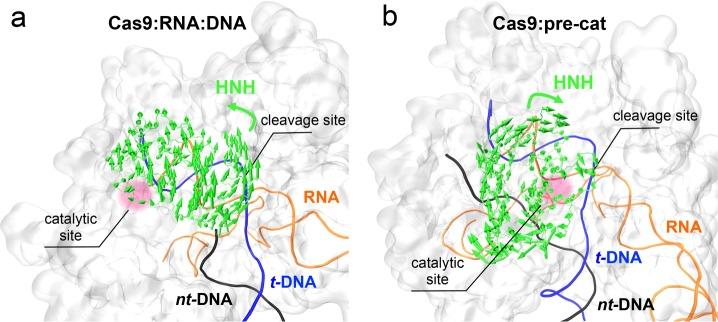 https://cdn.ncbi.nlm.nih.gov/pmc/blobs/34f8/5084073/821b5205c633/oc-2016-00218n_0005.jpg