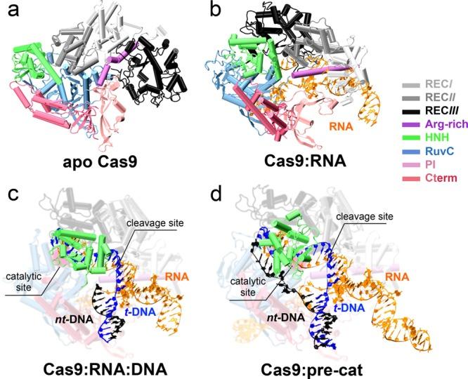 https://cdn.ncbi.nlm.nih.gov/pmc/blobs/34f8/5084073/c663cd313b0b/oc-2016-00218n_0002.jpg