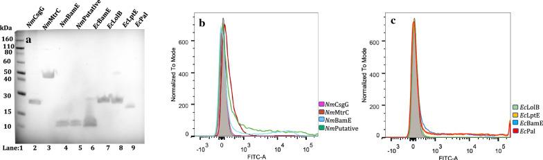 https://cdn.ncbi.nlm.nih.gov/pmc/blobs/34f8/7856735/9d5e14a90902/12934_2021_1528_Fig2_HTML.jpg