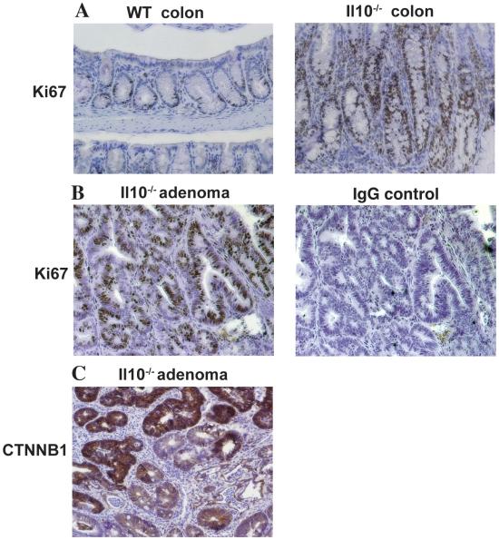 https://cdn.ncbi.nlm.nih.gov/pmc/blobs/34f9/2696084/3500d998ff73/pone.0006026.g005.jpg