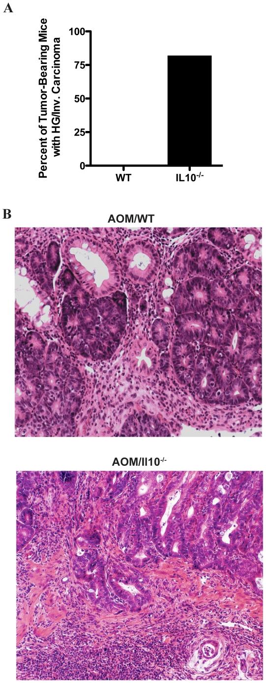 https://cdn.ncbi.nlm.nih.gov/pmc/blobs/34f9/2696084/6f52f2431483/pone.0006026.g003.jpg