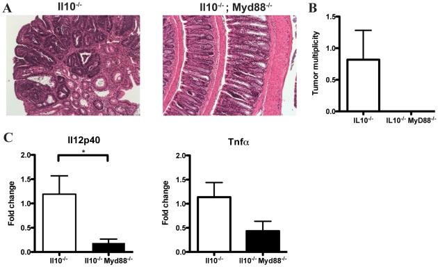 https://cdn.ncbi.nlm.nih.gov/pmc/blobs/34f9/2696084/7c20333bf43b/pone.0006026.g007.jpg