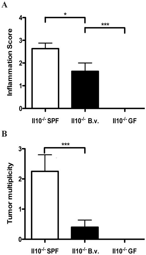 https://cdn.ncbi.nlm.nih.gov/pmc/blobs/34f9/2696084/877116ed268b/pone.0006026.g006.jpg