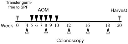 https://cdn.ncbi.nlm.nih.gov/pmc/blobs/34f9/2696084/c172eda9ec4a/pone.0006026.g001.jpg
