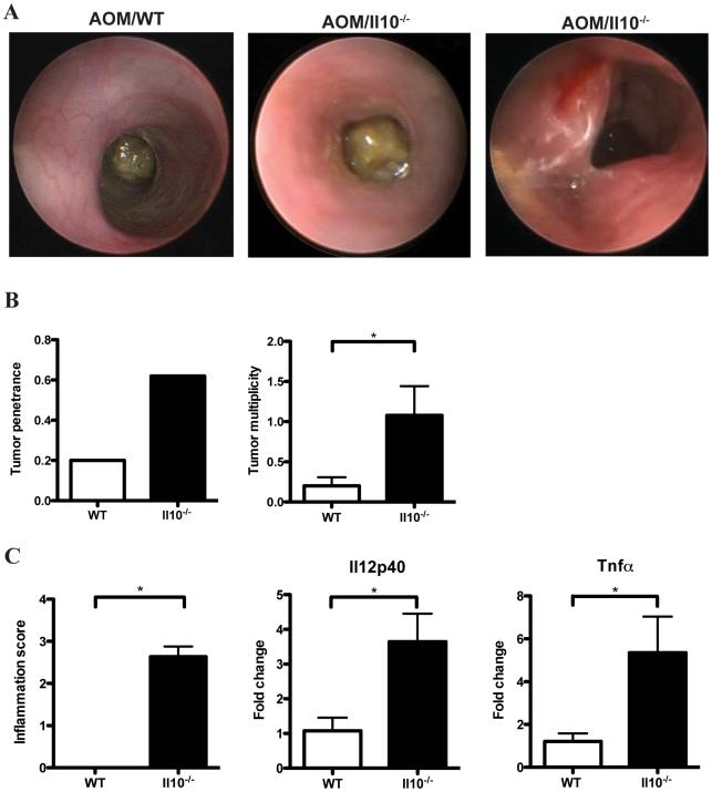 https://cdn.ncbi.nlm.nih.gov/pmc/blobs/34f9/2696084/fc3885611b2c/pone.0006026.g002.jpg