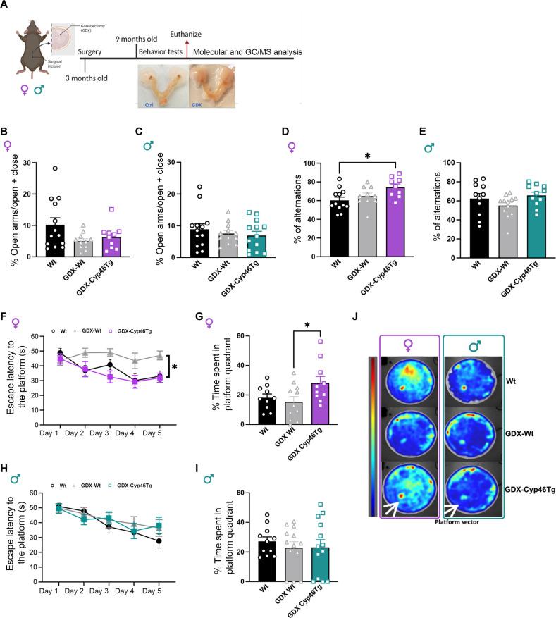 https://cdn.ncbi.nlm.nih.gov/pmc/blobs/34fc/10807813/5c1cd97dfd91/sciadv.adj1354-f5.jpg