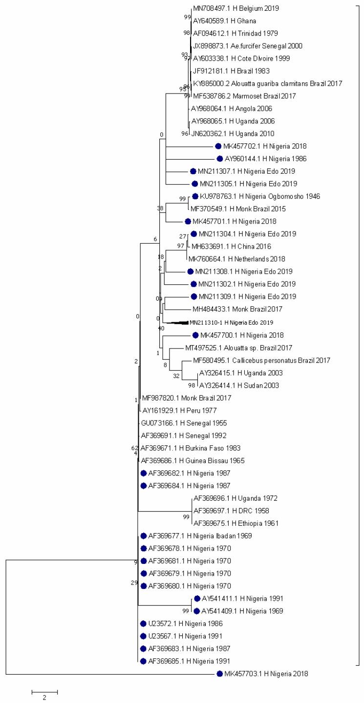 https://cdn.ncbi.nlm.nih.gov/pmc/blobs/34fc/9611041/5b65c2bbb43b/pathogens-11-01162-g004.jpg