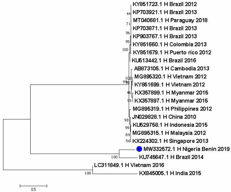 https://cdn.ncbi.nlm.nih.gov/pmc/blobs/34fc/9611041/816e5a482d9a/pathogens-11-01162-g003.jpg