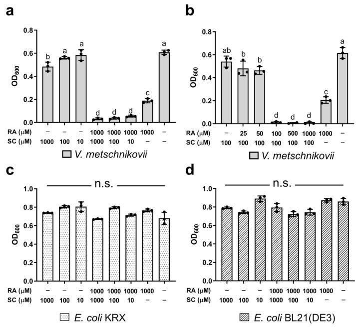 https://cdn.ncbi.nlm.nih.gov/pmc/blobs/34fd/8657459/1bdca0f34330/ijms-22-13010-g006.jpg