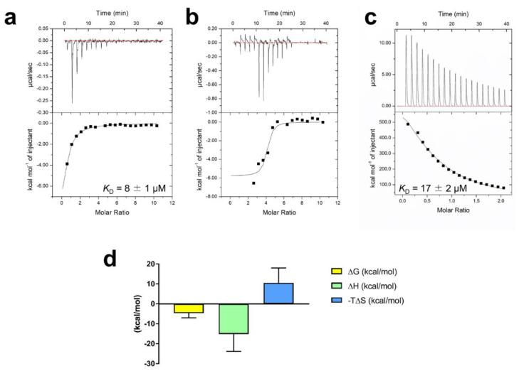 https://cdn.ncbi.nlm.nih.gov/pmc/blobs/34fd/8657459/a0a1096ccf2e/ijms-22-13010-g003.jpg
