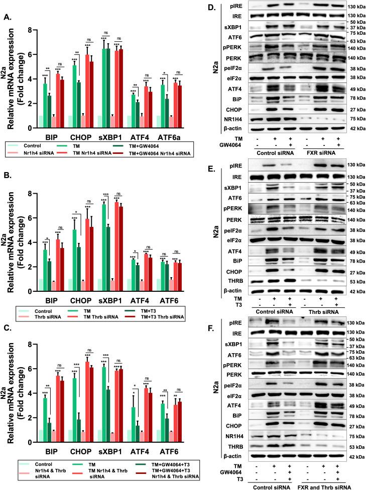 https://cdn.ncbi.nlm.nih.gov/pmc/blobs/3502/11015051/632bfd413b04/LSA-2023-02416_Fig2.jpg