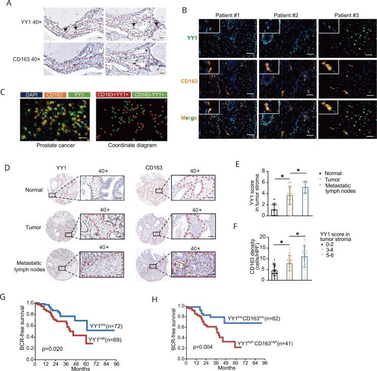 https://cdn.ncbi.nlm.nih.gov/pmc/blobs/3504/10152059/e6b4050c03df/jitc-2022-006020f02.jpg