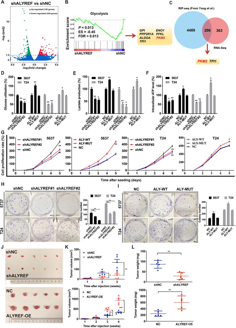 https://cdn.ncbi.nlm.nih.gov/pmc/blobs/3506/8286140/39320c76f680/CAC2-41-560-g005.jpg