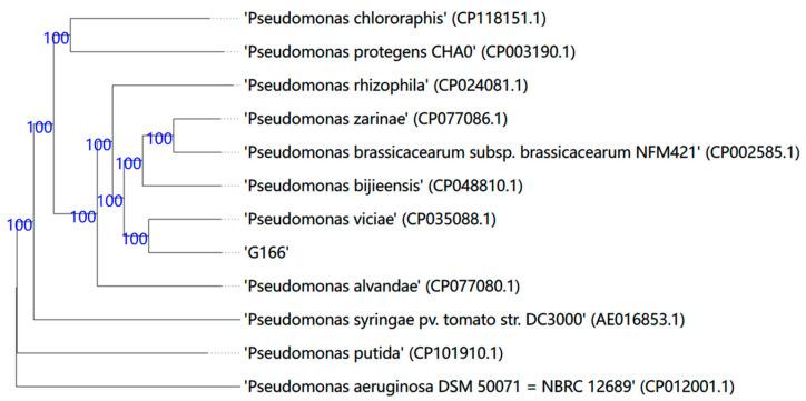 https://cdn.ncbi.nlm.nih.gov/pmc/blobs/350a/11205049/d3caa632da13/jof-10-00398-g002.jpg