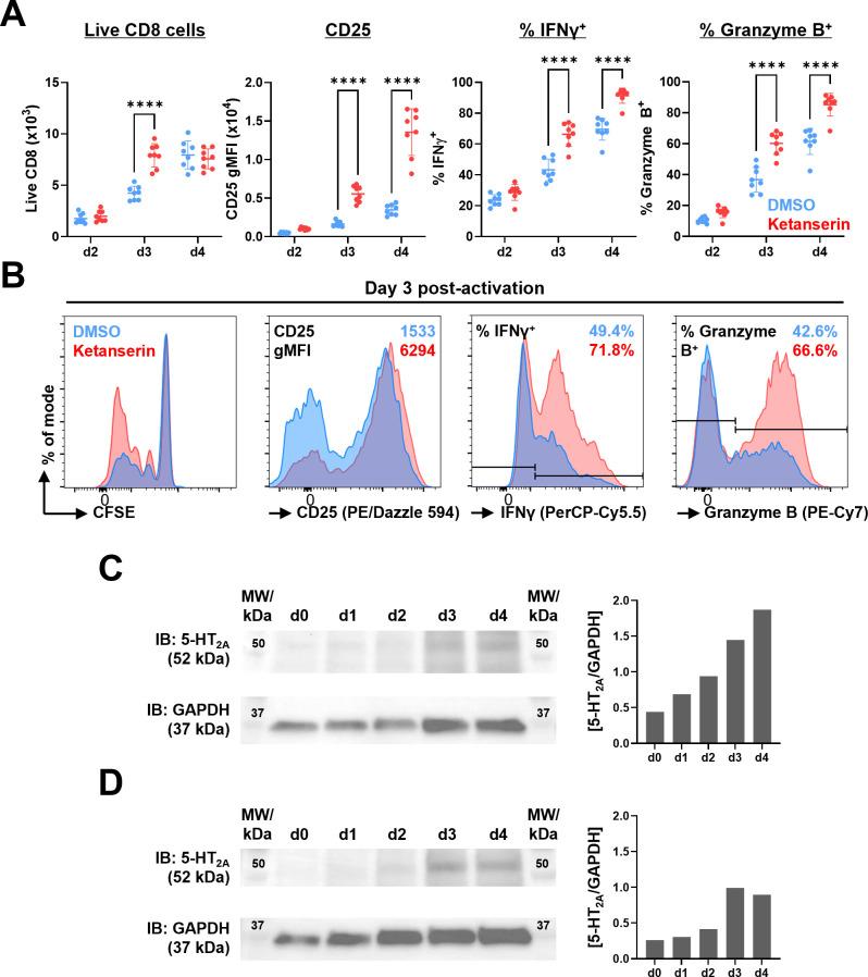 https://cdn.ncbi.nlm.nih.gov/pmc/blobs/350a/12186046/3cb3ed1f56ec/jitc-13-6-g003.jpg
