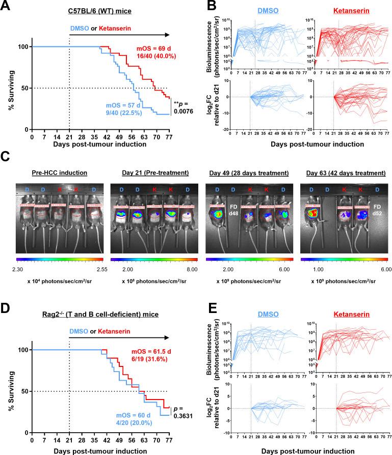 https://cdn.ncbi.nlm.nih.gov/pmc/blobs/350a/12186046/4ebaee594aef/jitc-13-6-g006.jpg