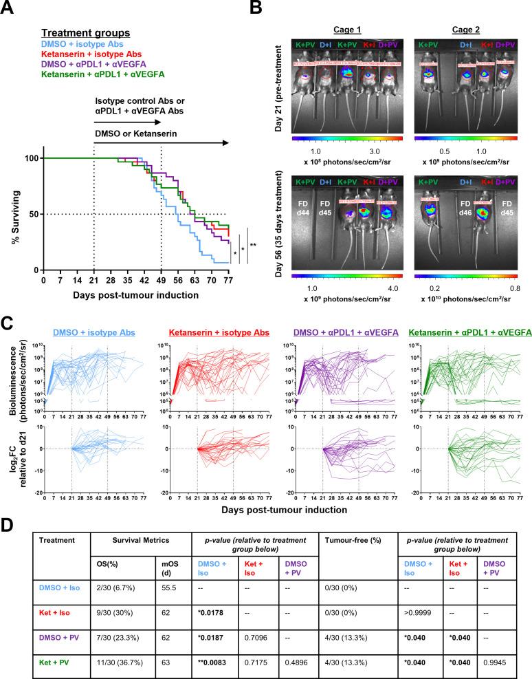 https://cdn.ncbi.nlm.nih.gov/pmc/blobs/350a/12186046/5875cd013e52/jitc-13-6-g007.jpg