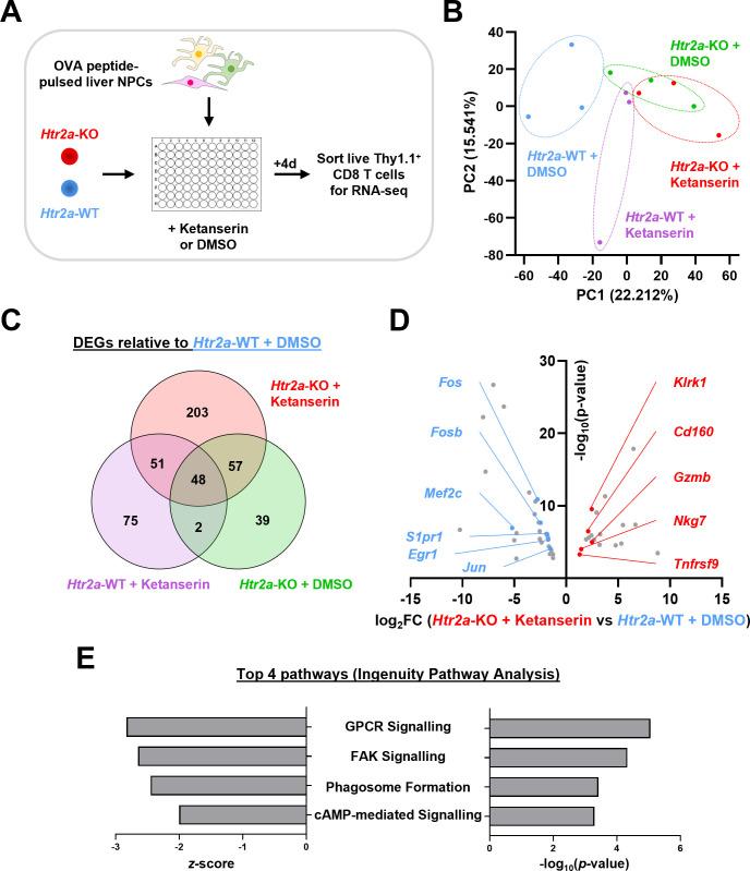 https://cdn.ncbi.nlm.nih.gov/pmc/blobs/350a/12186046/ef2573da4e91/jitc-13-6-g004.jpg