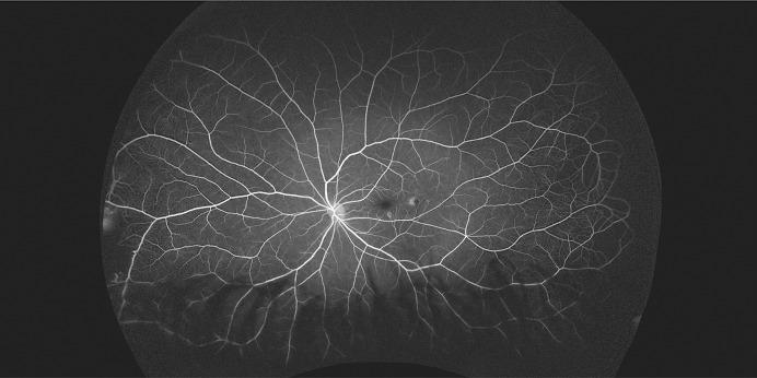 https://cdn.ncbi.nlm.nih.gov/pmc/blobs/350d/10091232/e6e1c1d3e022/cop-2023-0014-0001-529479_F02.jpg