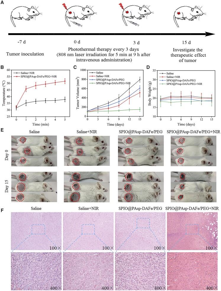 https://cdn.ncbi.nlm.nih.gov/pmc/blobs/350d/10097457/1d46cae6711e/rbad022f5.jpg