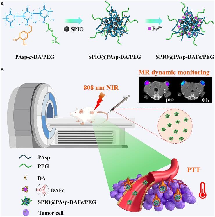 https://cdn.ncbi.nlm.nih.gov/pmc/blobs/350d/10097457/dd60e7a2efcb/rbad022f7.jpg
