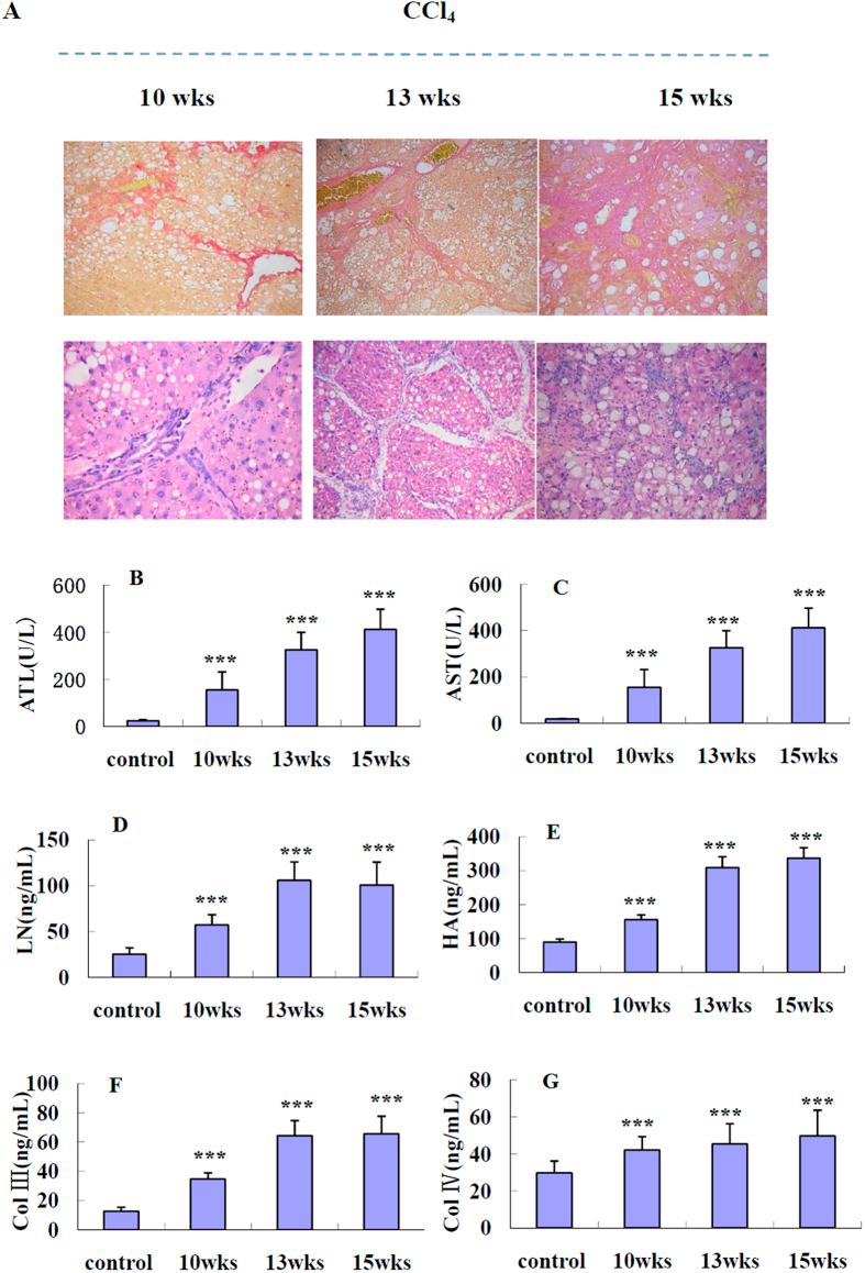 https://cdn.ncbi.nlm.nih.gov/pmc/blobs/350f/4804332/985a195f7fa3/srep23508-f2.jpg