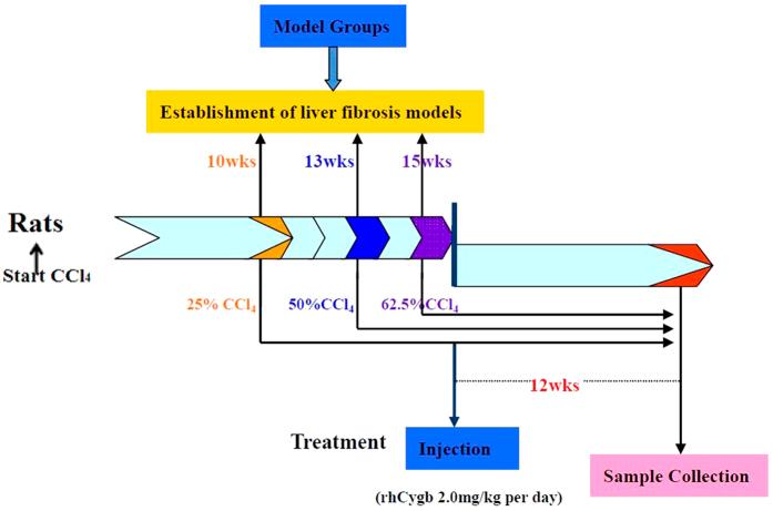 https://cdn.ncbi.nlm.nih.gov/pmc/blobs/350f/4804332/b6a73eeaf8bb/srep23508-f1.jpg