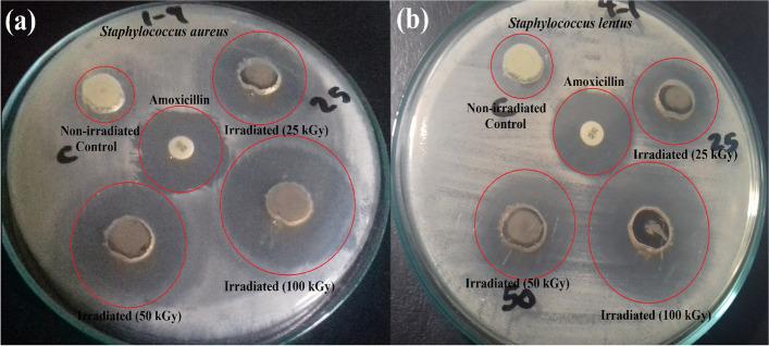 https://cdn.ncbi.nlm.nih.gov/pmc/blobs/3513/10521429/1d0899298144/12866_2023_3016_Fig4_HTML.jpg