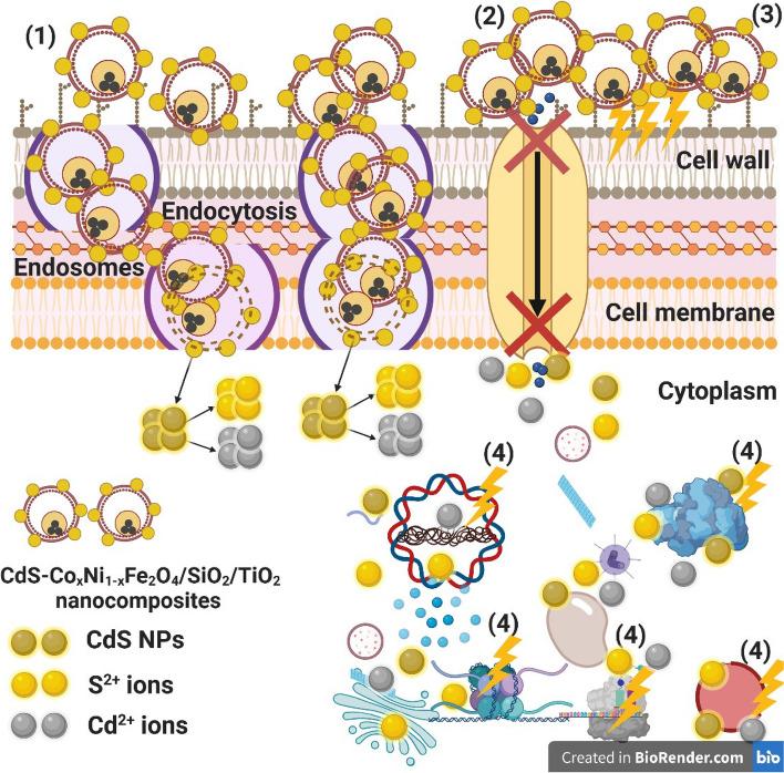 https://cdn.ncbi.nlm.nih.gov/pmc/blobs/3513/10521429/52860c84c34e/12866_2023_3016_Fig10_HTML.jpg