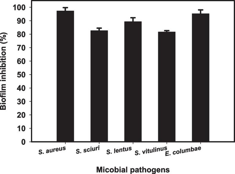https://cdn.ncbi.nlm.nih.gov/pmc/blobs/3513/10521429/6a16d3d40681/12866_2023_3016_Fig5_HTML.jpg