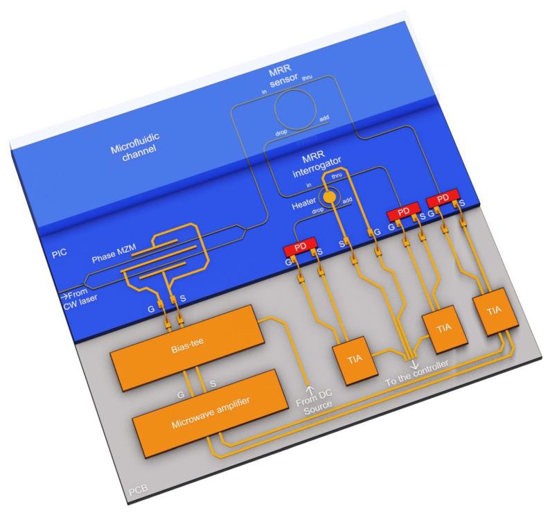 https://cdn.ncbi.nlm.nih.gov/pmc/blobs/3513/9738929/927efd3507ff/sensors-22-09553-g004.jpg