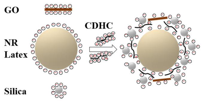 https://cdn.ncbi.nlm.nih.gov/pmc/blobs/3516/7692359/758689e8d244/polymers-12-02549-sch002.jpg