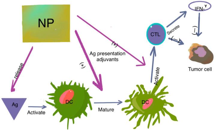https://cdn.ncbi.nlm.nih.gov/pmc/blobs/3518/10976232/456b0328be48/pharmaceutics-16-00410-g002.jpg