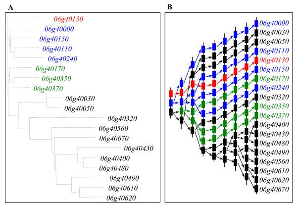 https://cdn.ncbi.nlm.nih.gov/pmc/blobs/3518/2846932/c13bd47d1855/1471-2148-10-79-6.jpg