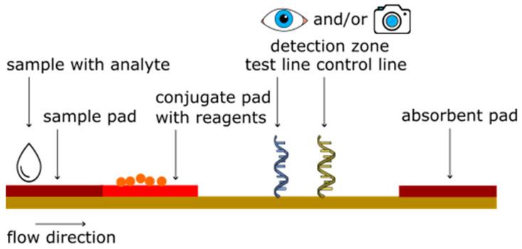 https://cdn.ncbi.nlm.nih.gov/pmc/blobs/351c/10346655/191fb9b67604/sensors-23-06201-g002.jpg