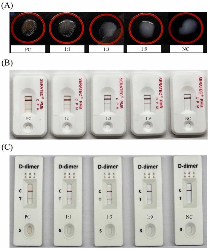 https://cdn.ncbi.nlm.nih.gov/pmc/blobs/351c/10346655/2c147928c517/sensors-23-06201-g003.jpg