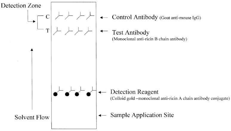 https://cdn.ncbi.nlm.nih.gov/pmc/blobs/351c/10346655/c8d5f1ad4303/sensors-23-06201-g007.jpg