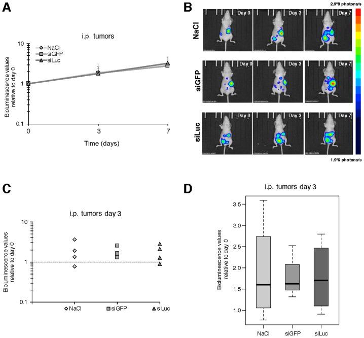 https://cdn.ncbi.nlm.nih.gov/pmc/blobs/351c/5652939/114b2c062407/OR-38-04-1949-g01.jpg