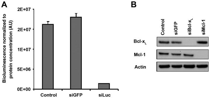 https://cdn.ncbi.nlm.nih.gov/pmc/blobs/351c/5652939/a38da99e6a37/OR-38-04-1949-g03.jpg
