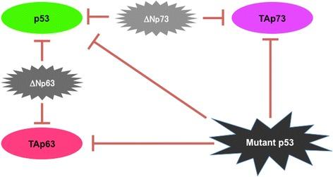 https://cdn.ncbi.nlm.nih.gov/pmc/blobs/351c/5861661/14fc5f7997af/12885_2018_4217_Fig2_HTML.jpg