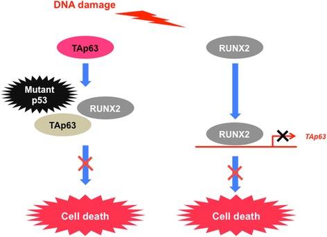 https://cdn.ncbi.nlm.nih.gov/pmc/blobs/351c/5861661/3b3b4d8fb6a5/12885_2018_4217_Fig3_HTML.jpg