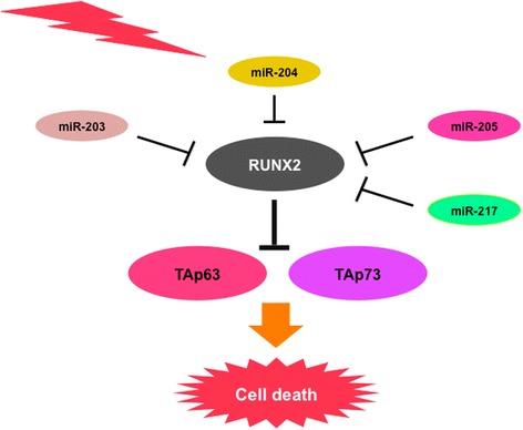 https://cdn.ncbi.nlm.nih.gov/pmc/blobs/351c/5861661/a1bd0b99a7a9/12885_2018_4217_Fig4_HTML.jpg
