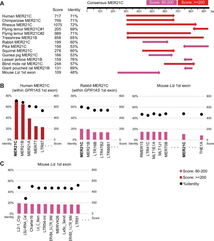 https://cdn.ncbi.nlm.nih.gov/pmc/blobs/3522/12129452/46d51b4d32c6/elife-94502-fig5-figsupp1.jpg