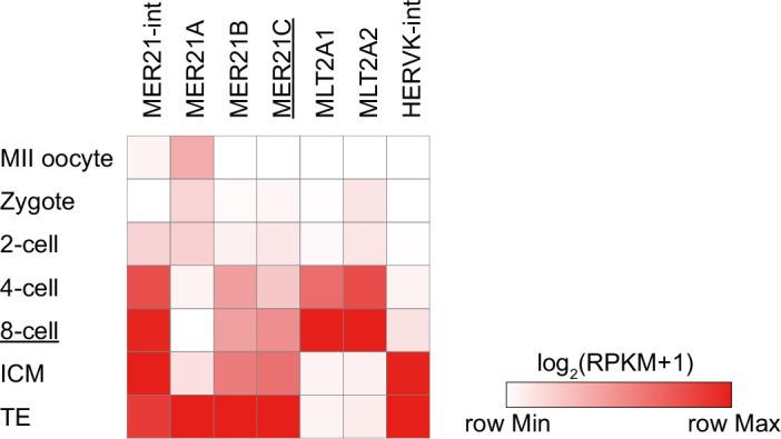 https://cdn.ncbi.nlm.nih.gov/pmc/blobs/3522/12129452/6eb9ae20e867/elife-94502-fig6-figsupp1.jpg