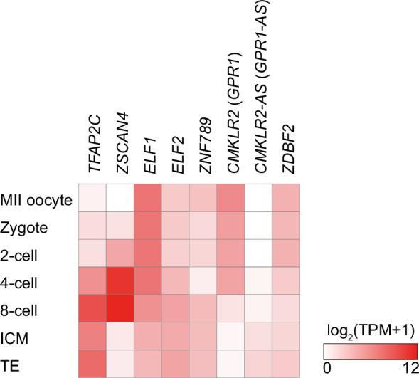 https://cdn.ncbi.nlm.nih.gov/pmc/blobs/3522/12129452/73dbfd52a19a/elife-94502-fig5-figsupp3.jpg