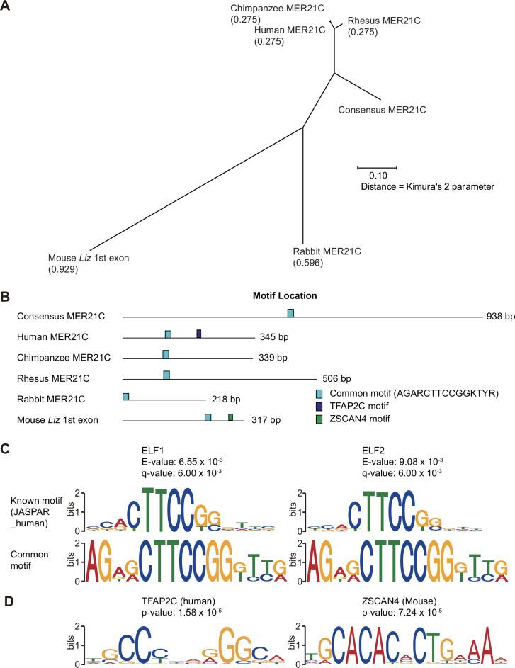 https://cdn.ncbi.nlm.nih.gov/pmc/blobs/3522/12129452/85cfde00555b/elife-94502-fig5.jpg