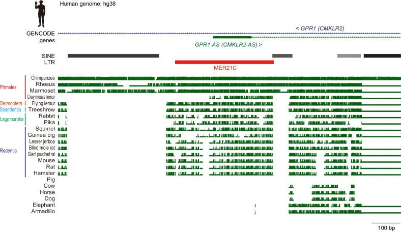 https://cdn.ncbi.nlm.nih.gov/pmc/blobs/3522/12129452/8d87105b4c57/elife-94502-fig4-figsupp2.jpg