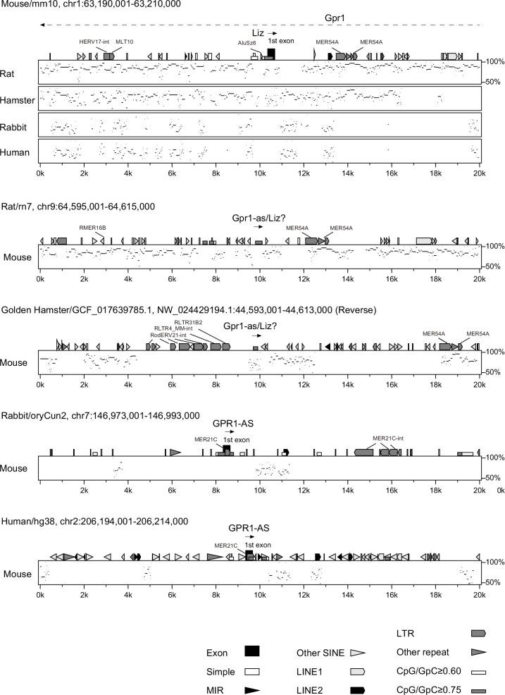https://cdn.ncbi.nlm.nih.gov/pmc/blobs/3522/12129452/993da8d37206/elife-94502-fig4-figsupp1.jpg