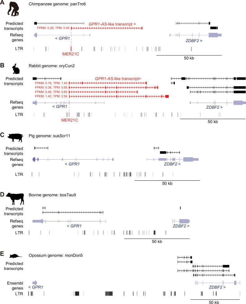 https://cdn.ncbi.nlm.nih.gov/pmc/blobs/3522/12129452/d670613ed83b/elife-94502-fig2.jpg