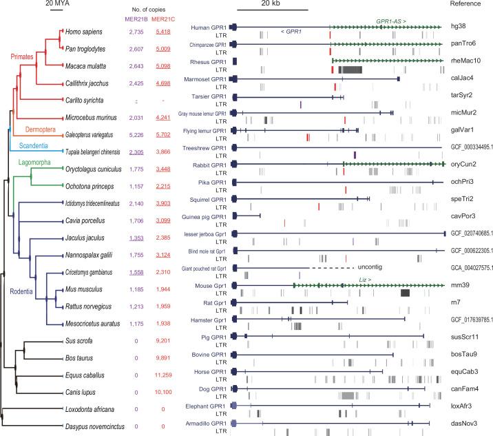 https://cdn.ncbi.nlm.nih.gov/pmc/blobs/3522/12129452/e68e0bb50726/elife-94502-fig4.jpg